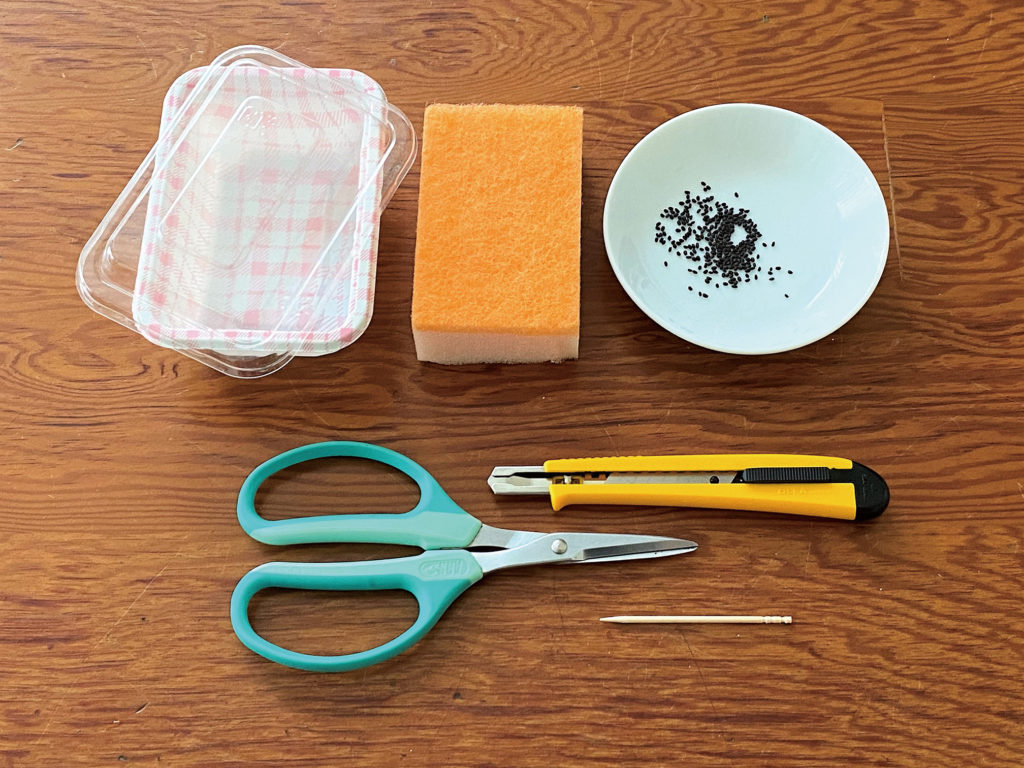 食べておいしく見て楽しい 水耕栽培に挑戦 Ja菊池