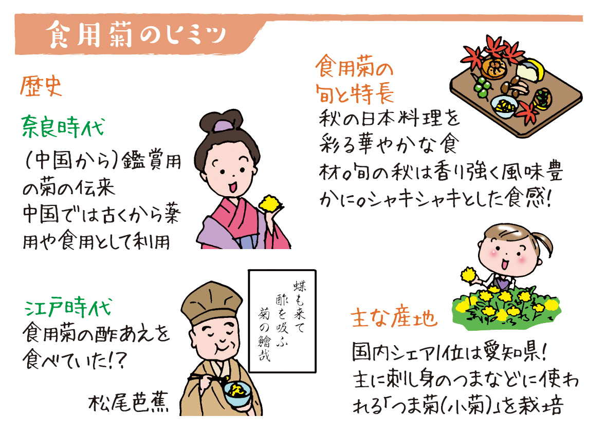 野菜ソムリエ上級プロkaoruのベジタブルライフ 食用菊 彩りに負けない高い栄養価 Ja菊池