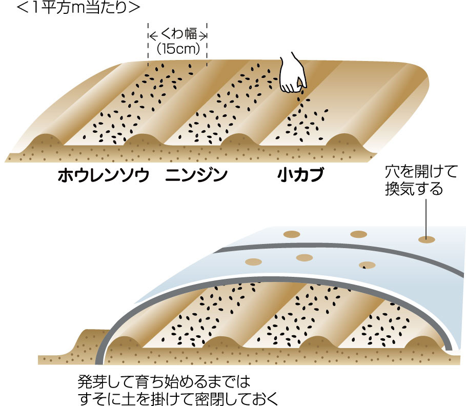 あなたもチャレンジ 家庭菜園 春一番の種まきはトンネル栽培で Ja菊池