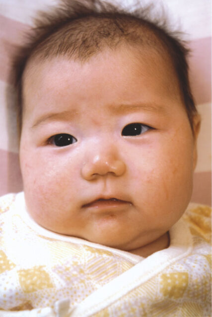 購入のポイントから上手に撮るこつまで 家庭で楽しむデジタルカメラ 上達編 Ja菊池