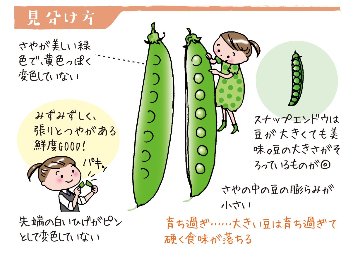野菜ソムリエ上級プロkaoruのベジタブルライフ サヤエンドウ 春を演出する彩り野菜 Ja菊池