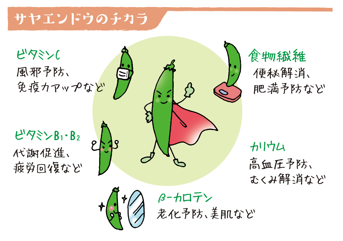 野菜ソムリエ上級プロkaoruのベジタブルライフ サヤエンドウ 春を演出する彩り野菜 Ja菊池