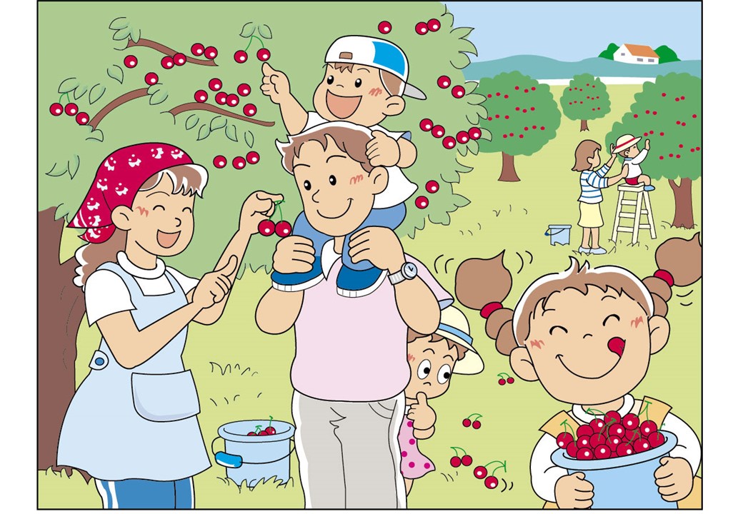 まちがい探し Ja菊池