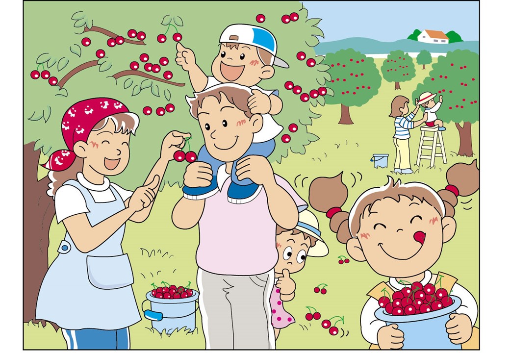 まちがい探し Ja菊池