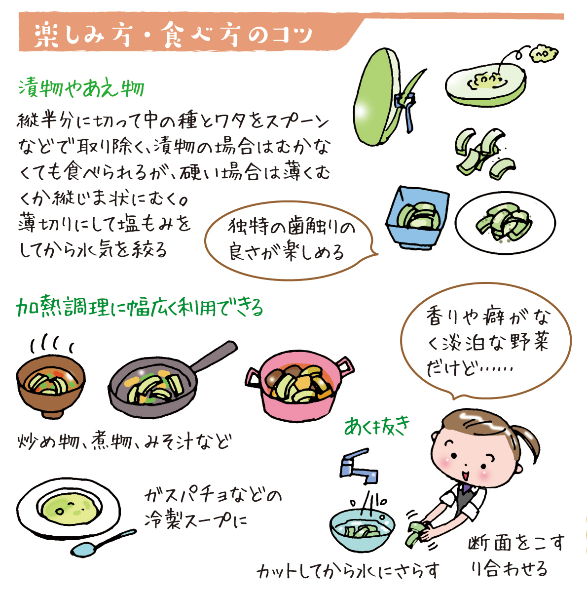 野菜ソムリエ上級プロkaoruのベジタブルライフ ウリ みずみずしい清涼感を楽しむ夏野菜 Ja菊池