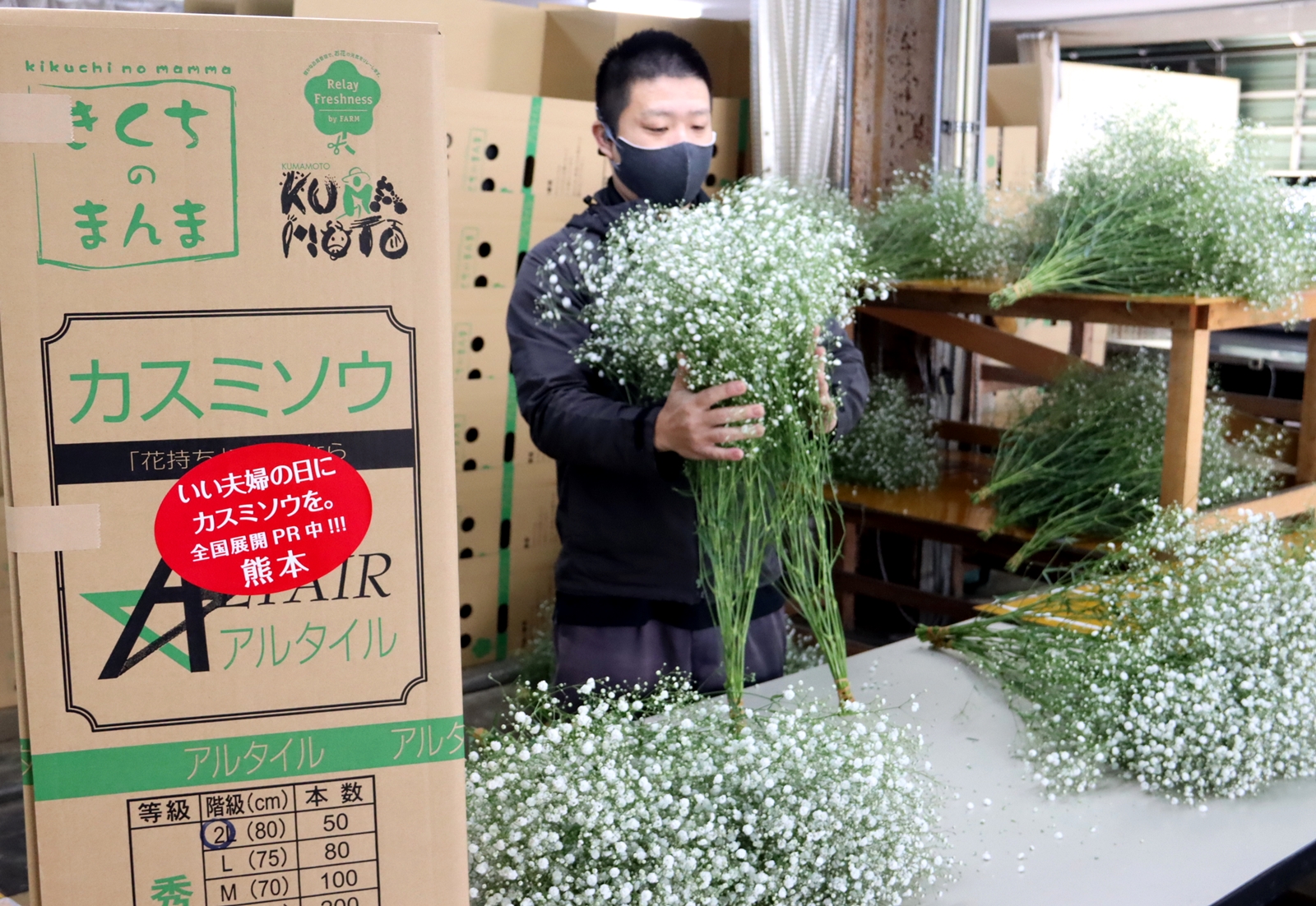 いい夫婦の日に向けて カスミソウ シールでアピール ｊａ菊池花卉 かき 部会 Ja菊池