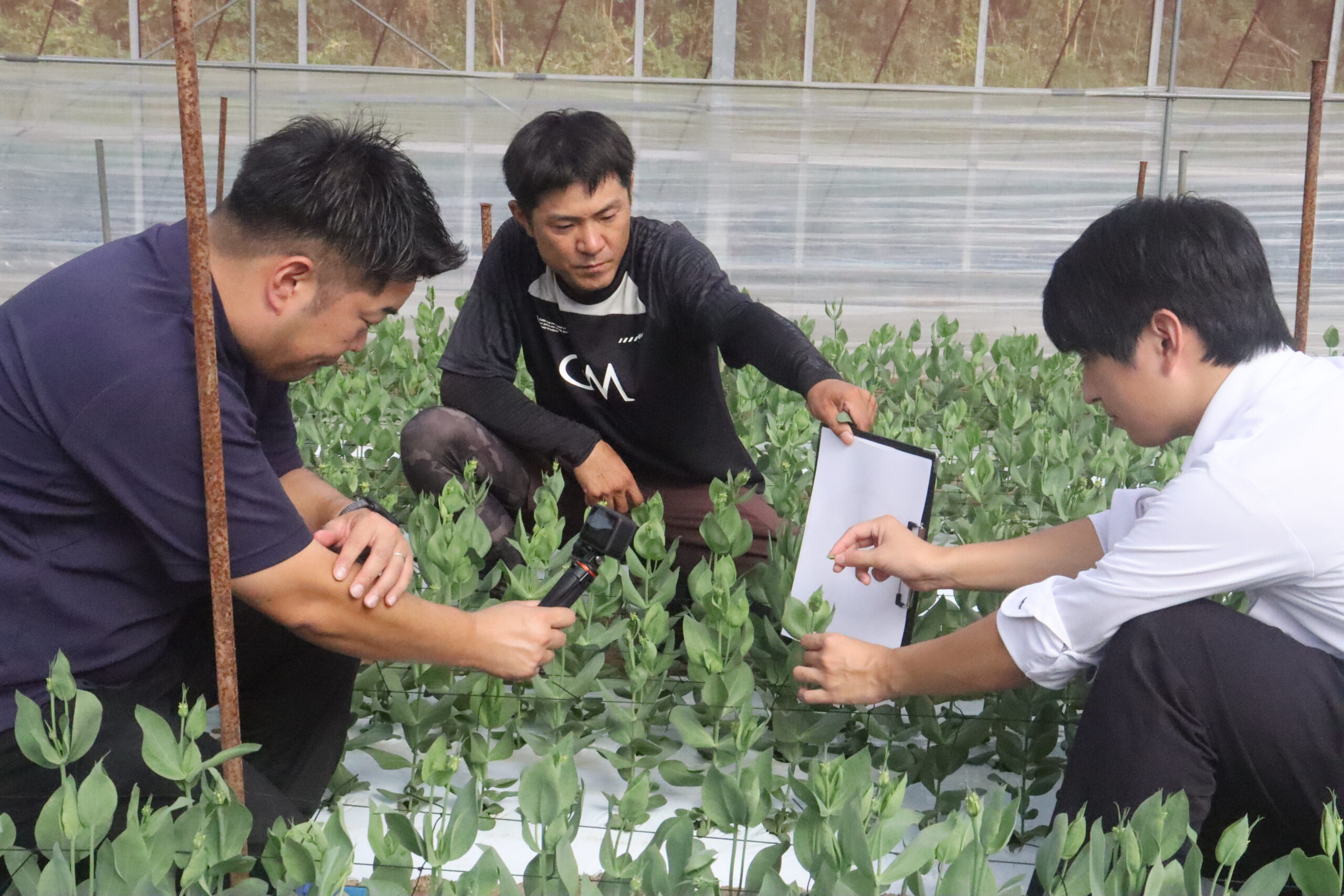 d15250df49ed1040af2f9949ed0700