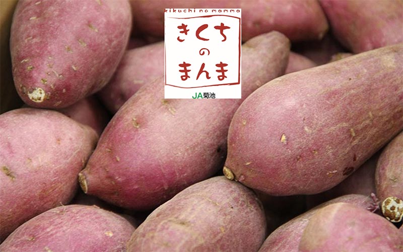 3月のプレゼントクイズ - JA菊池