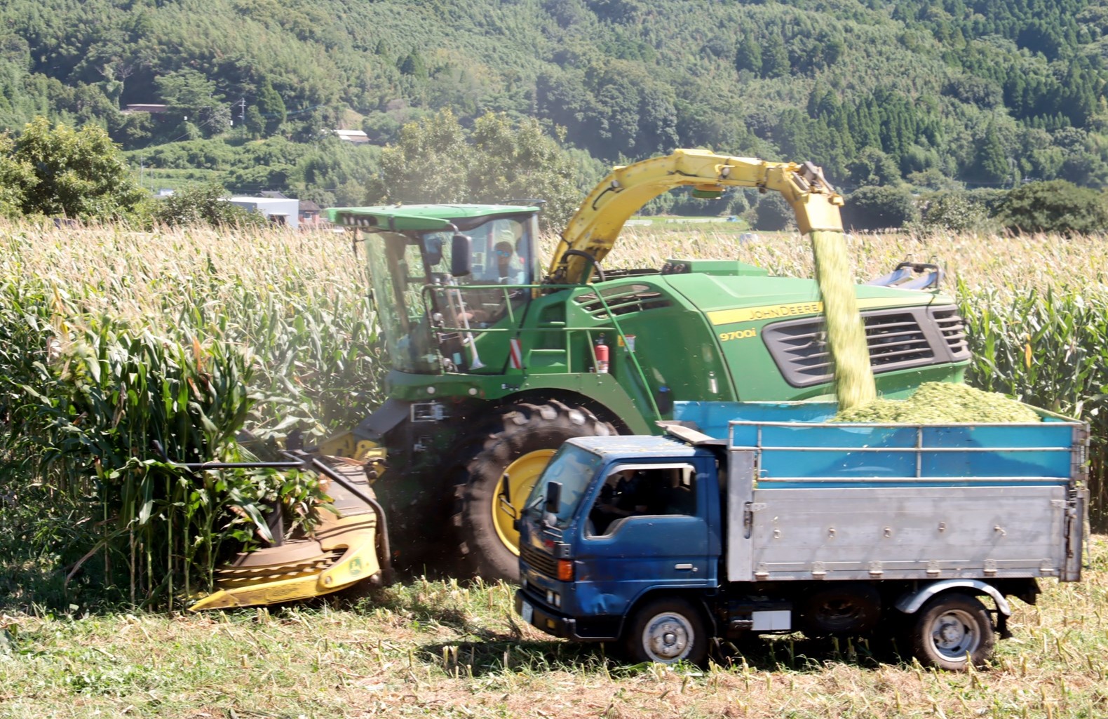 6192b542e49d67454e9546d91982dc