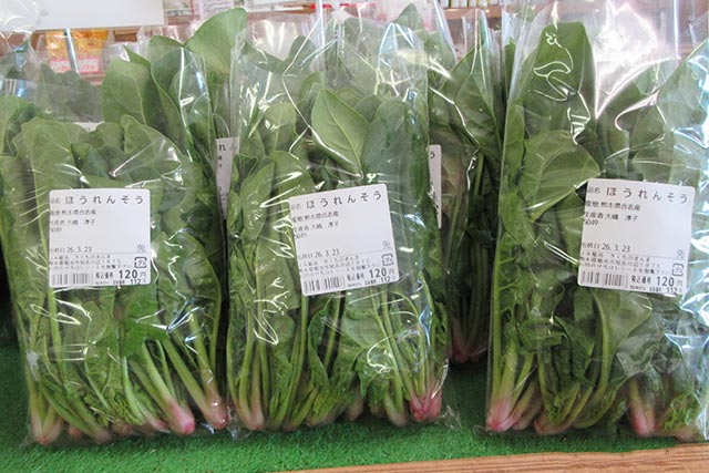 きくちのまんま合志店